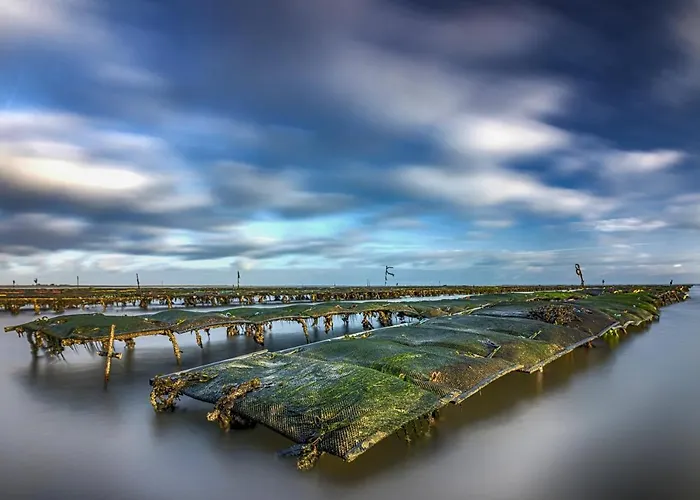 L'embarcadère La Barre-de-Monts